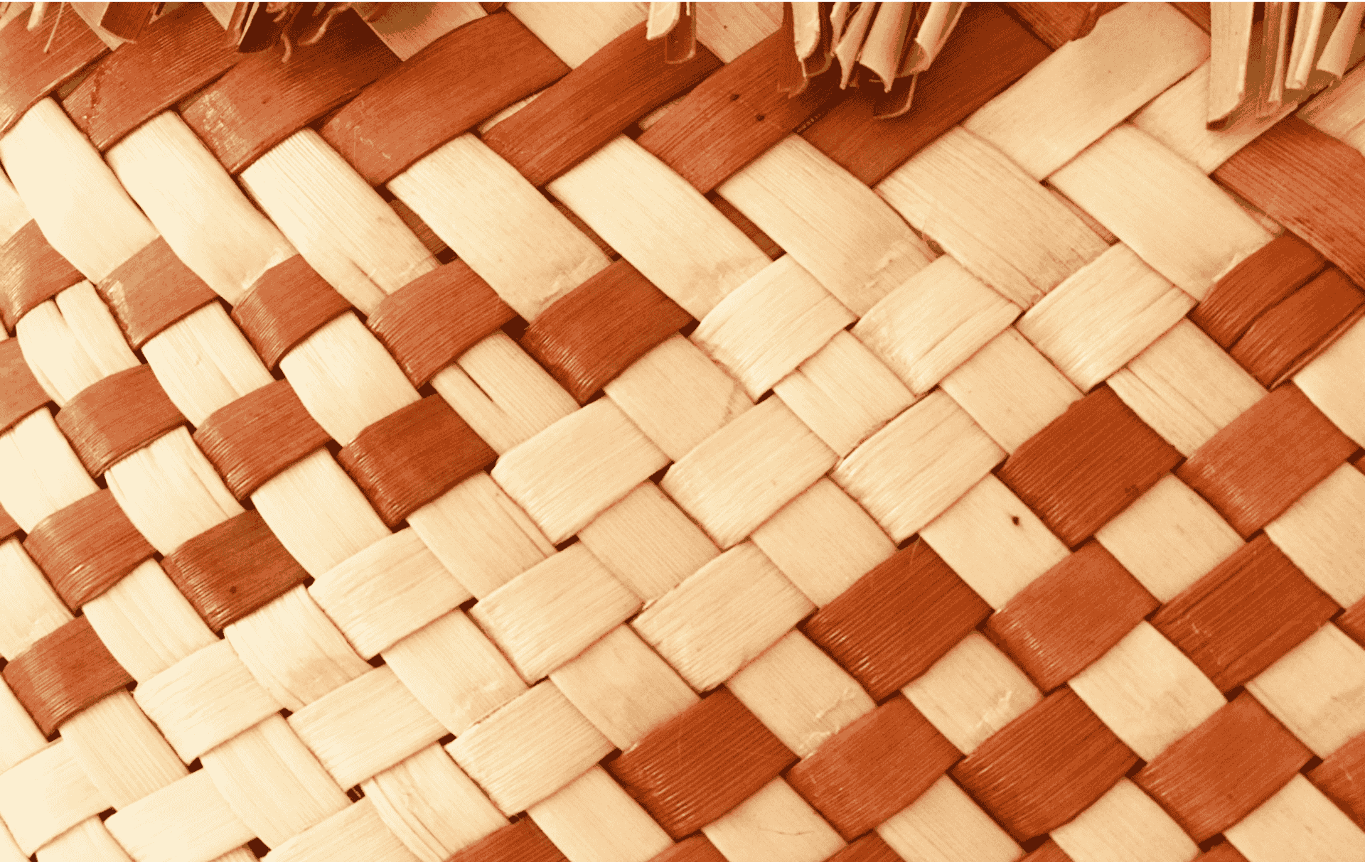 Image-15-scaled-1